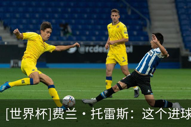 [世界杯]费兰·托雷斯：这个进球属于全体西班牙同胞